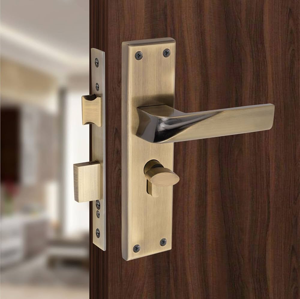 Lock bodies for secure door hardware applications