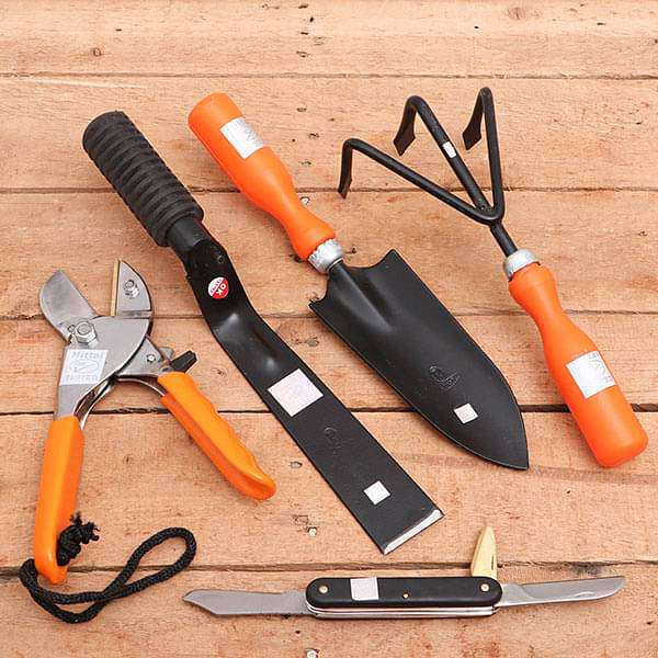Plumb bob tools for site marking and alignment applications