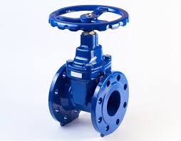 Rising stem gate valve for water and process piping systems
