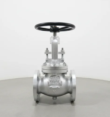 Stainless steel globe valve for chemical process systems