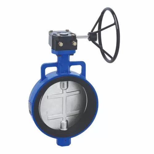 Lug-type butterfly valve with lever operation