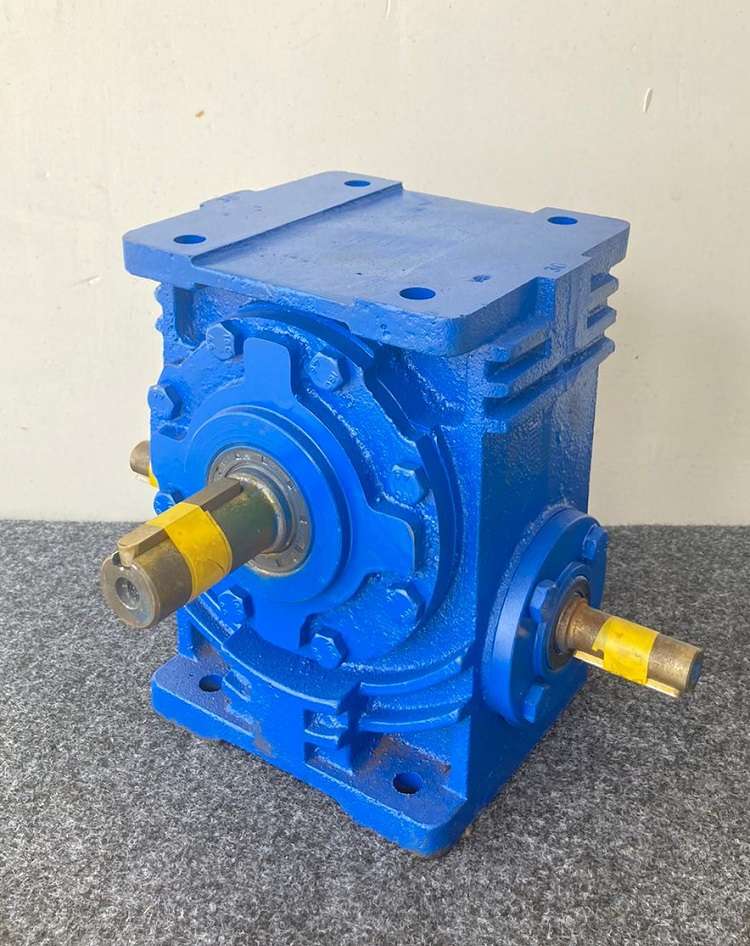 Worm gearbox with electric motor for conveyor drive systems