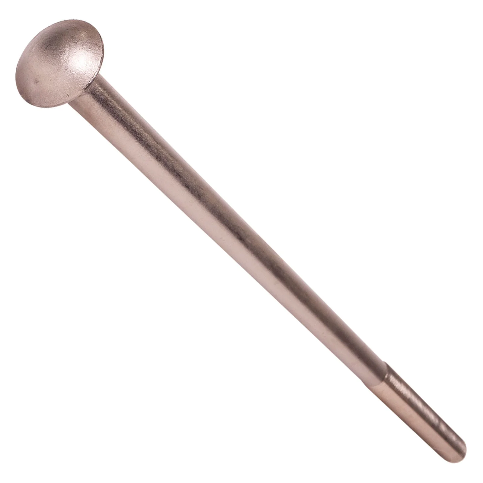 Stainless steel carriage bolts in different diameters and lengths